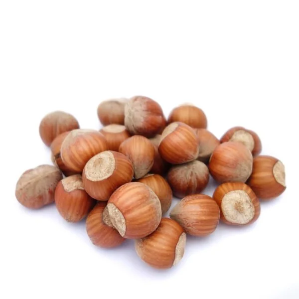 AVELLANA EUROPEA 5 KG.